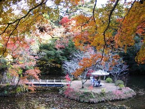 日本で一番遅い紅葉 小松寺 千葉県 南房総市 満ちてくる心の宿 吉夢